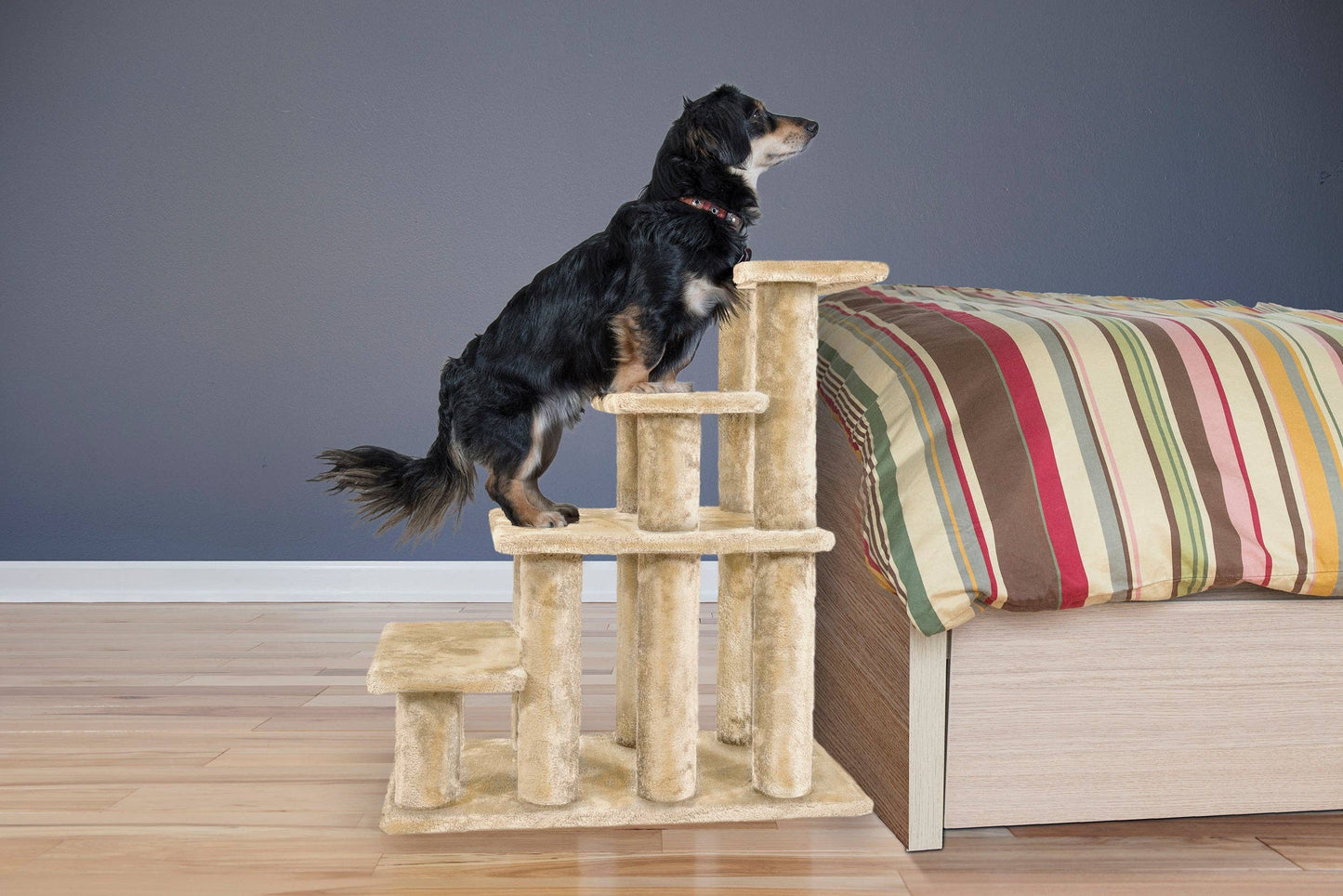 Steady Paws 3-Step and 4-Step Pet Stairs: 4-Step / Gray