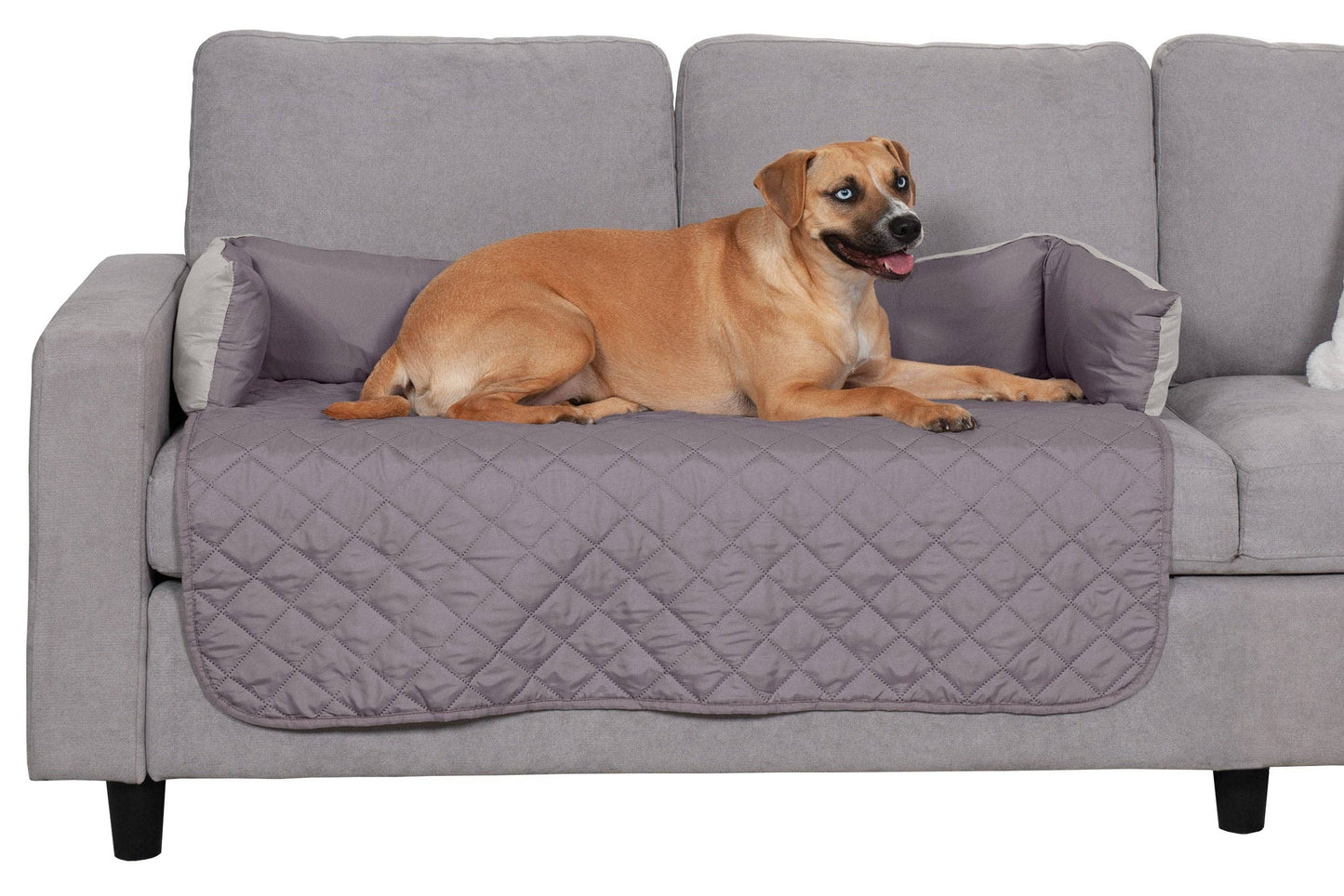 Sofa Buddy Pet Bed Furniture Cover: Medium / Gray/Mist