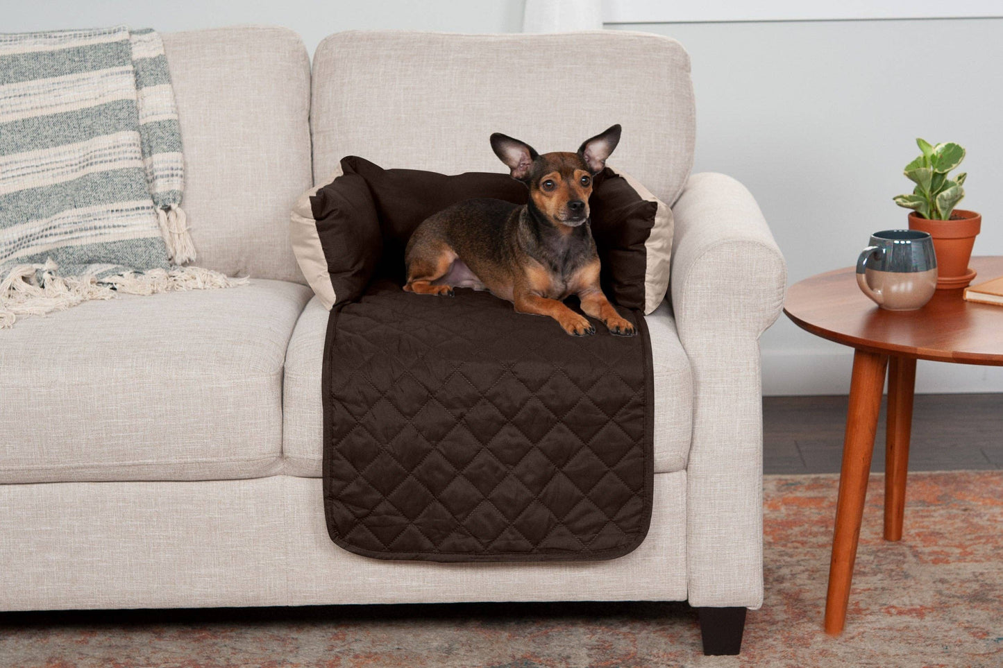 Sofa Buddy Pet Bed Furniture Cover: Medium / Gray/Mist