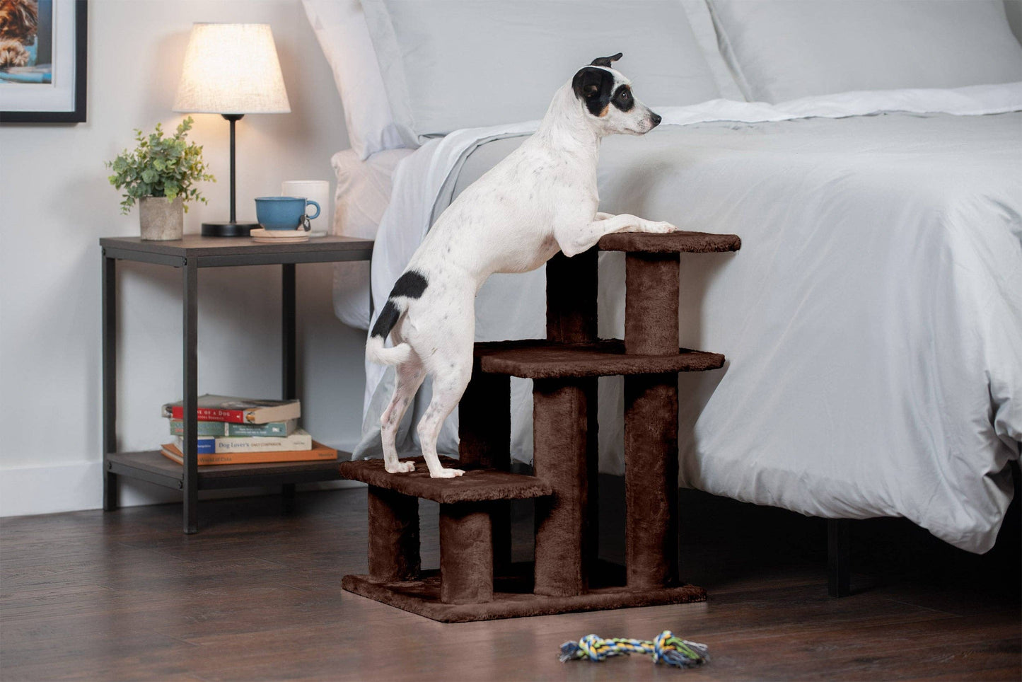 Steady Paws 3-Step and 4-Step Pet Stairs: 4-Step / Gray