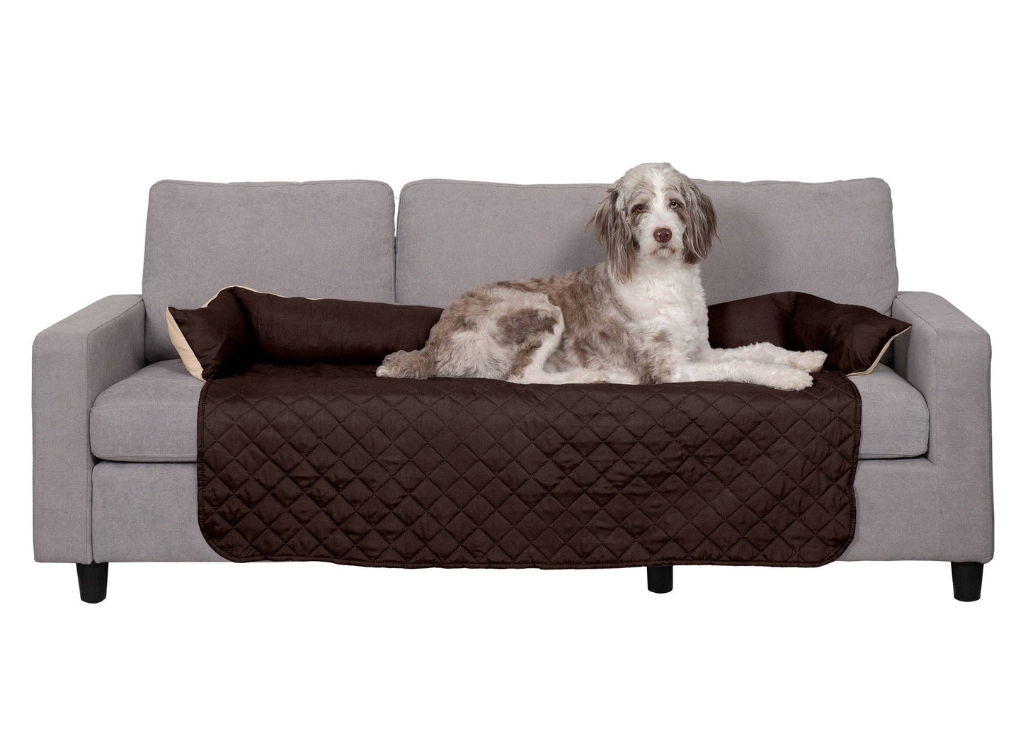 Sofa Buddy Pet Bed Furniture Cover: Medium / Gray/Mist