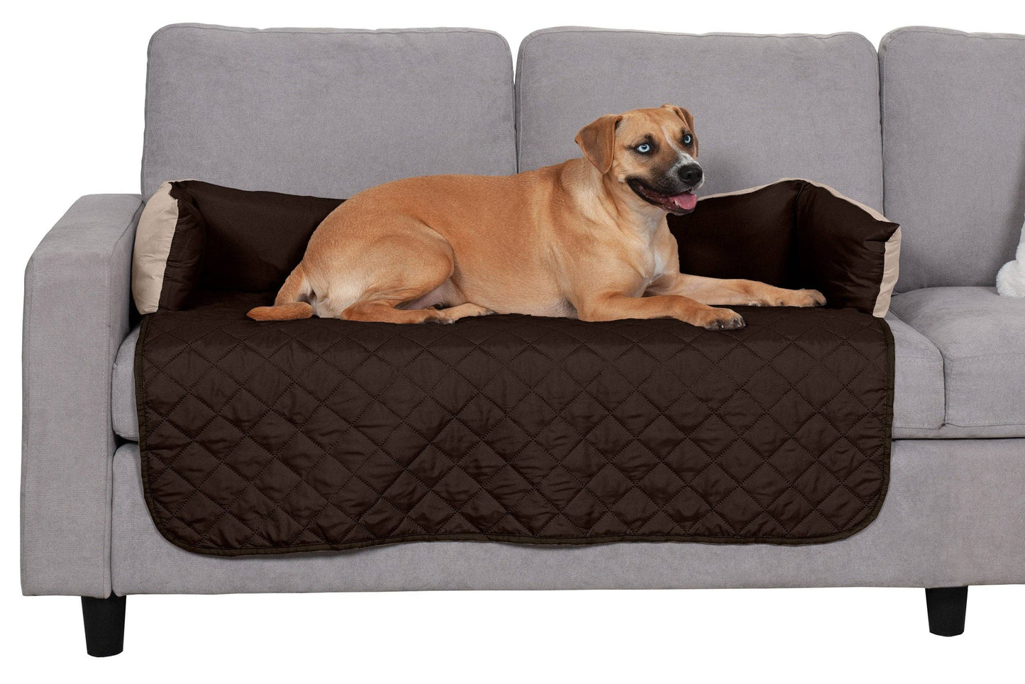 Sofa Buddy Pet Bed Furniture Cover: Medium / Gray/Mist