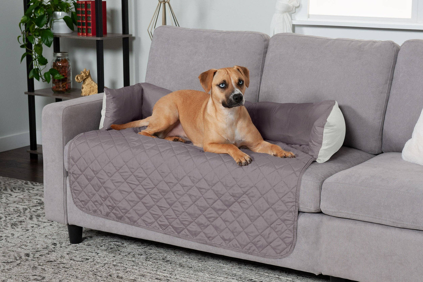 Sofa Buddy Pet Bed Furniture Cover: Medium / Gray/Mist