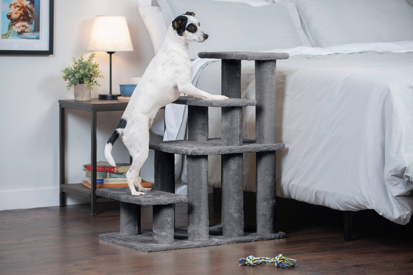 Steady Paws 3-Step and 4-Step Pet Stairs: 4-Step / Gray