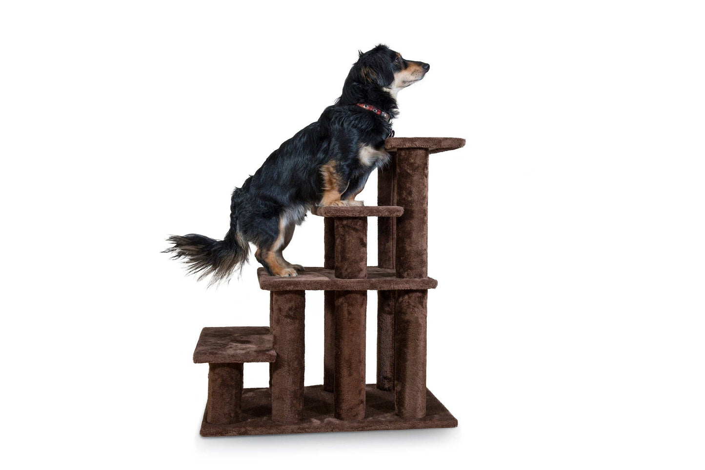 Steady Paws 3-Step and 4-Step Pet Stairs: 4-Step / Gray