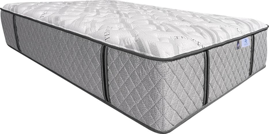 Phoenix Plush Two-Sided Queen Size Mattress and Foundation Set