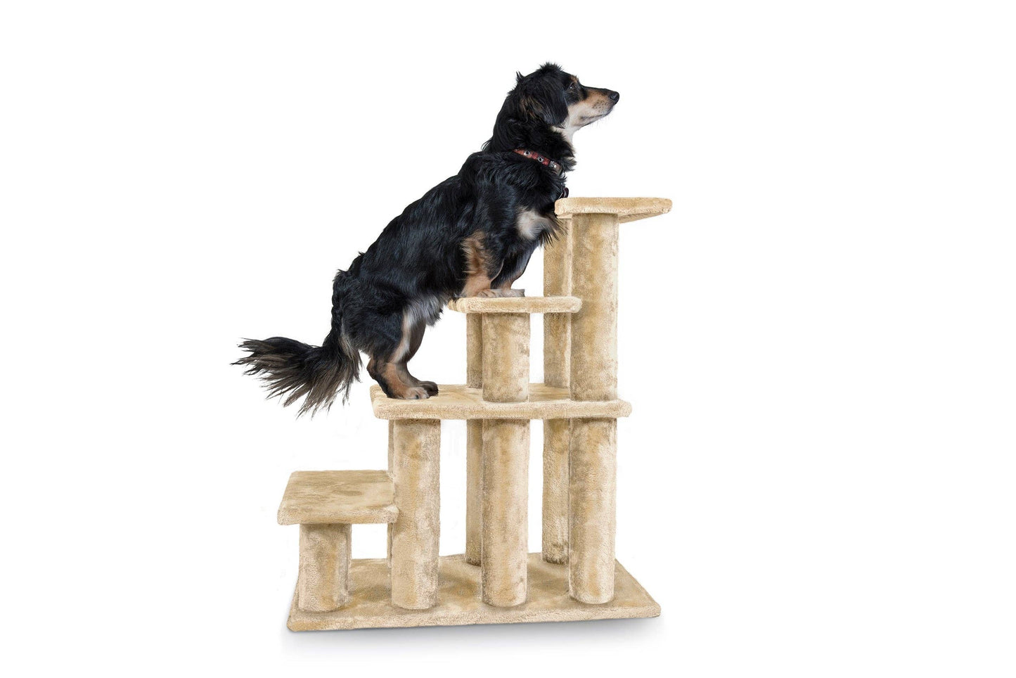 Steady Paws 3-Step and 4-Step Pet Stairs: 4-Step / Gray