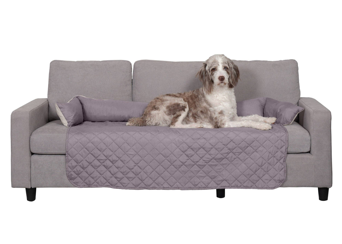 Sofa Buddy Pet Bed Furniture Cover: Medium / Gray/Mist