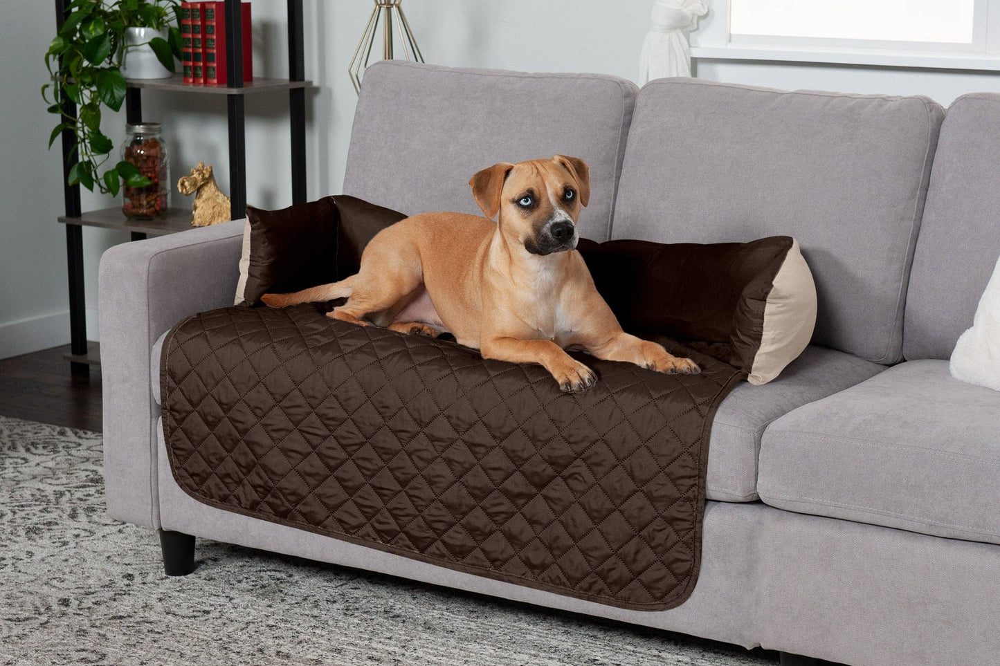 Sofa Buddy Pet Bed Furniture Cover: Medium / Gray/Mist