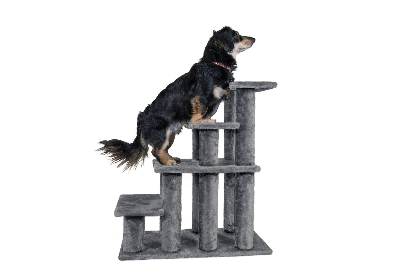 Steady Paws 3-Step and 4-Step Pet Stairs: 4-Step / Gray