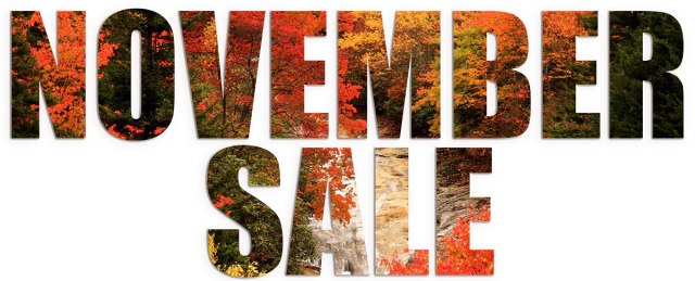 November Sales