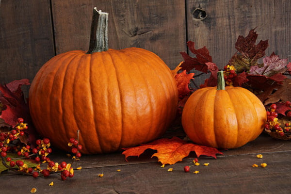 Fall Into Savings