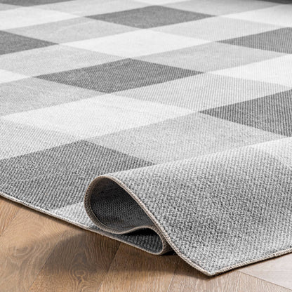 Buffalo Plaid Washable Area Rug: Gray / Rectangle / 5' x 8'