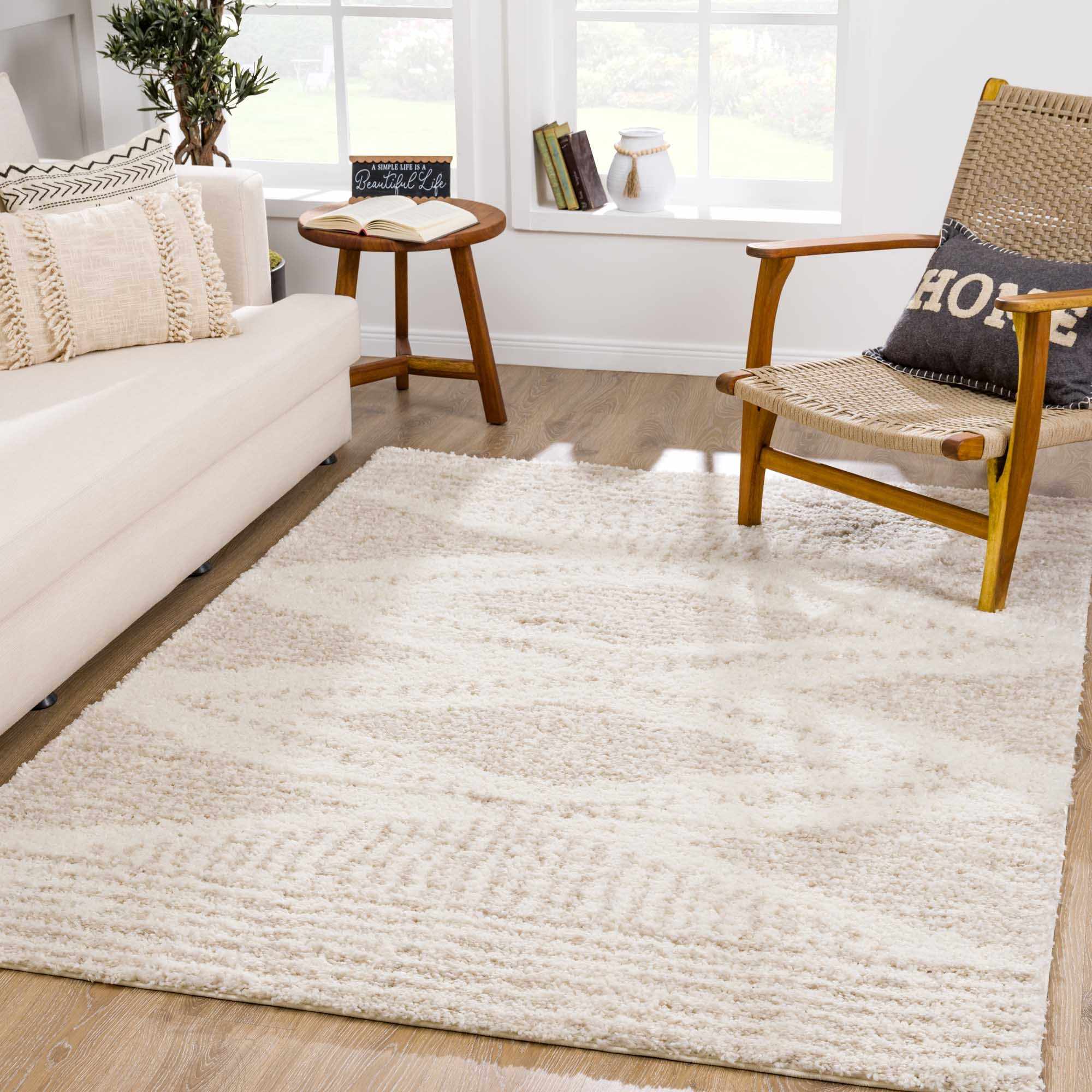 Trunding Plush Area Rug in Light Beige: 5'3" x 7'3" Rectangle