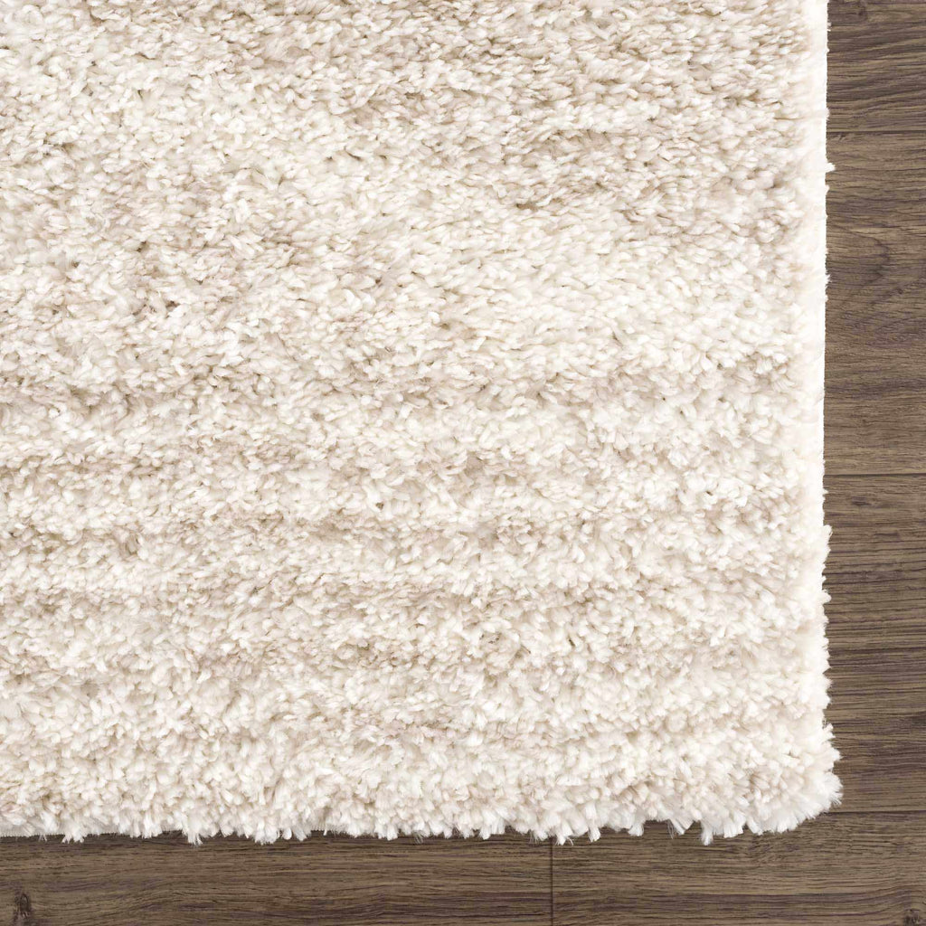 Trunding Plush Area Rug in Light Beige: 5'3" x 7'3" Rectangle