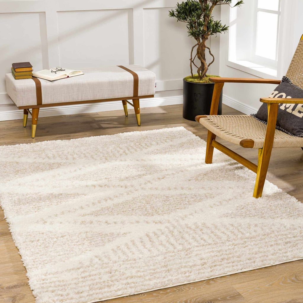 Trunding Plush Area Rug in Light Beige: 5'3" x 7'3" Rectangle