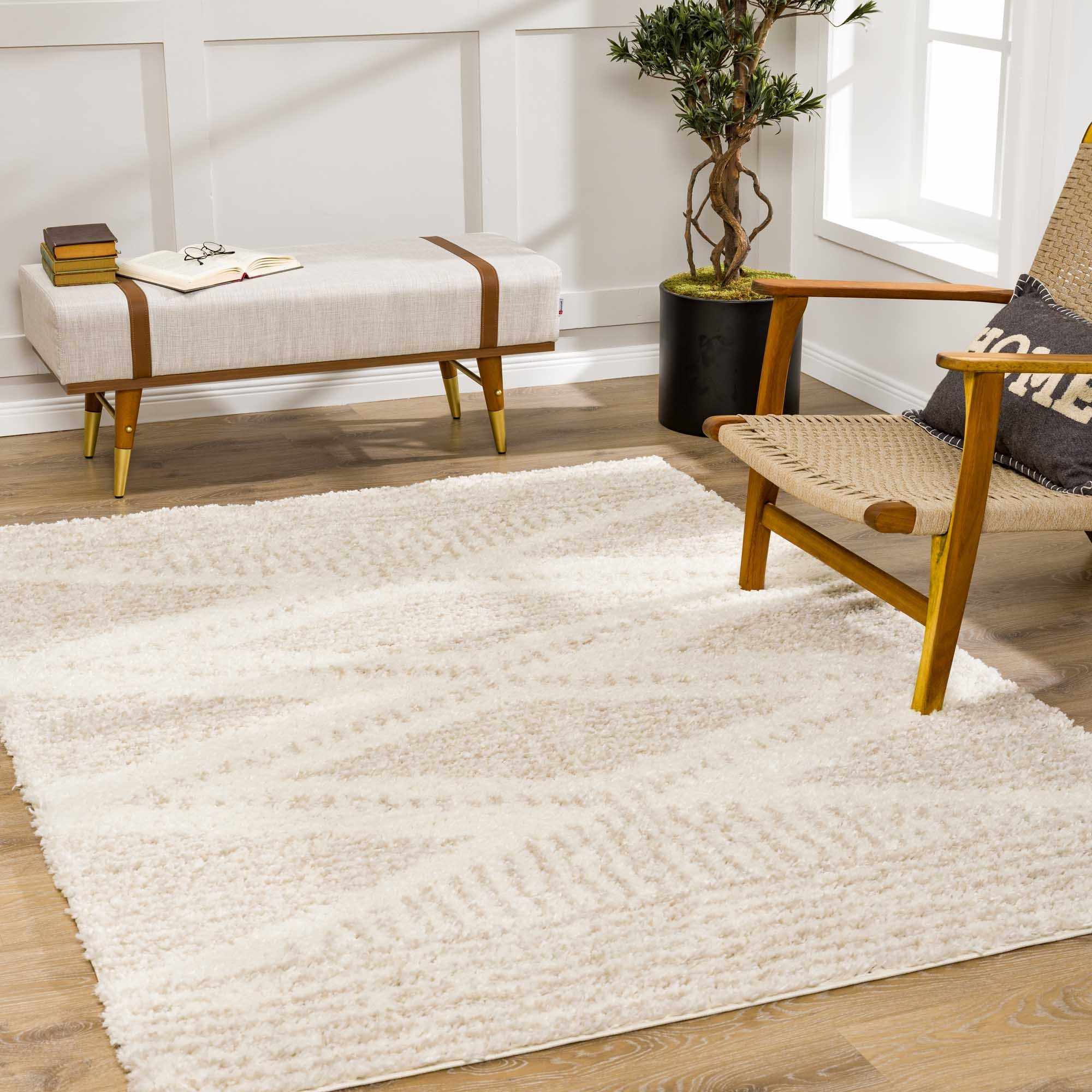 Trunding Plush Area Rug in Light Beige: 5'3" x 7'3" Rectangle