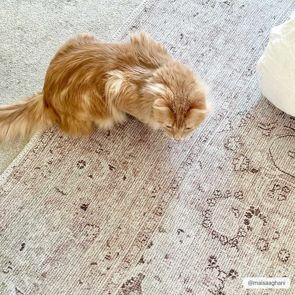 Bethany Washable Area Rug: 5'3" x 7'3" Rectangle