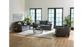 Charcoal Flair Arm Sofa and Loveseat